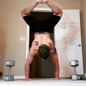 handstandpushupcom supplements for athletes kerry don handstand pushups between two dumbbells